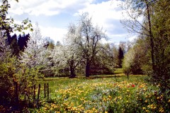 Waldkulturscheune-Villingen-Schwenningen