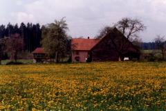 K800_2004-08-30-331-1